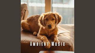 Joyful Ambient Tail-wagging Symphony