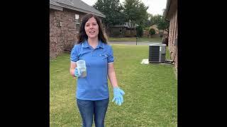 Pest control in the rain by ChemTec pest control