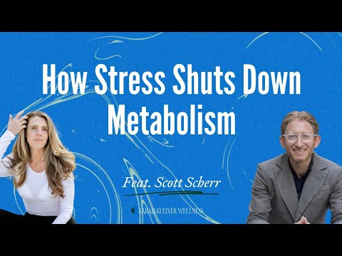 How Stress Shuts Down Metabolism – Sympathetic Stress, Mitochondria & the Cell Danger Response