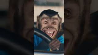 Monkey Failed His Driving Test in 10 Seconds 🚗🐒 | AI Comedy Short