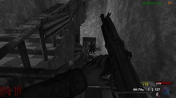 Raze - Call of Duty  World at War Custom Zombies