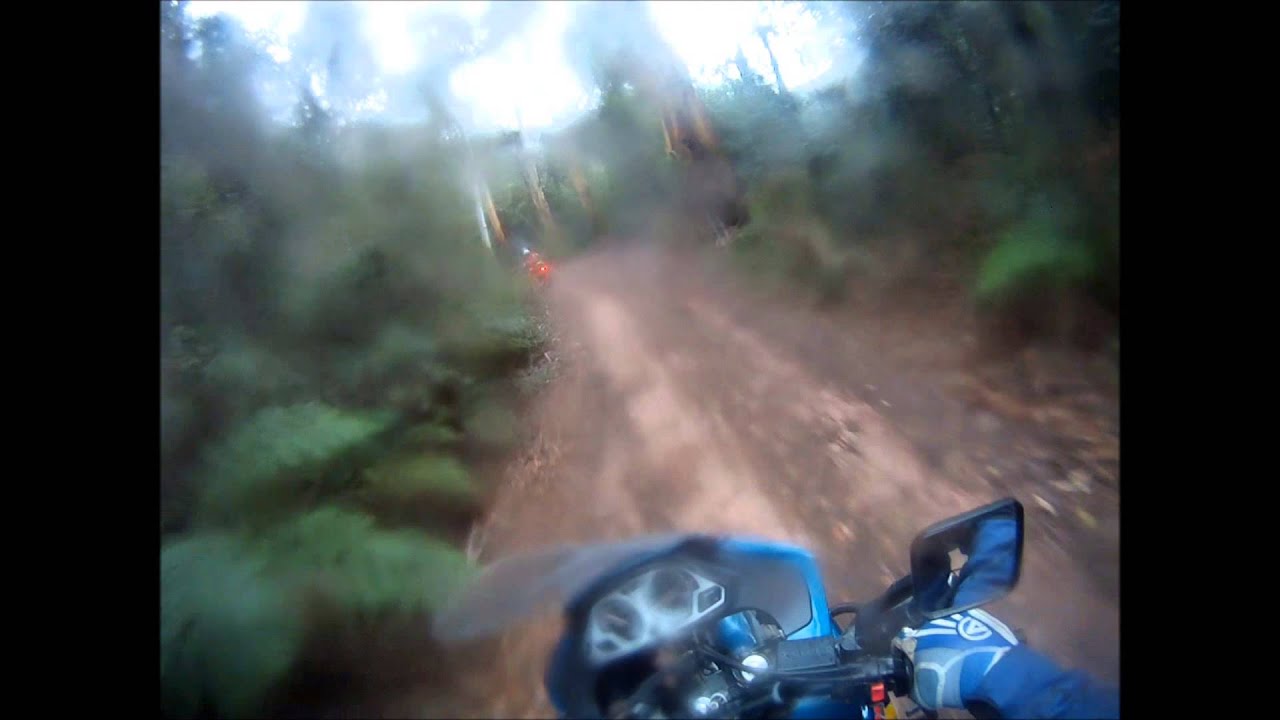 Old Bells Line of road