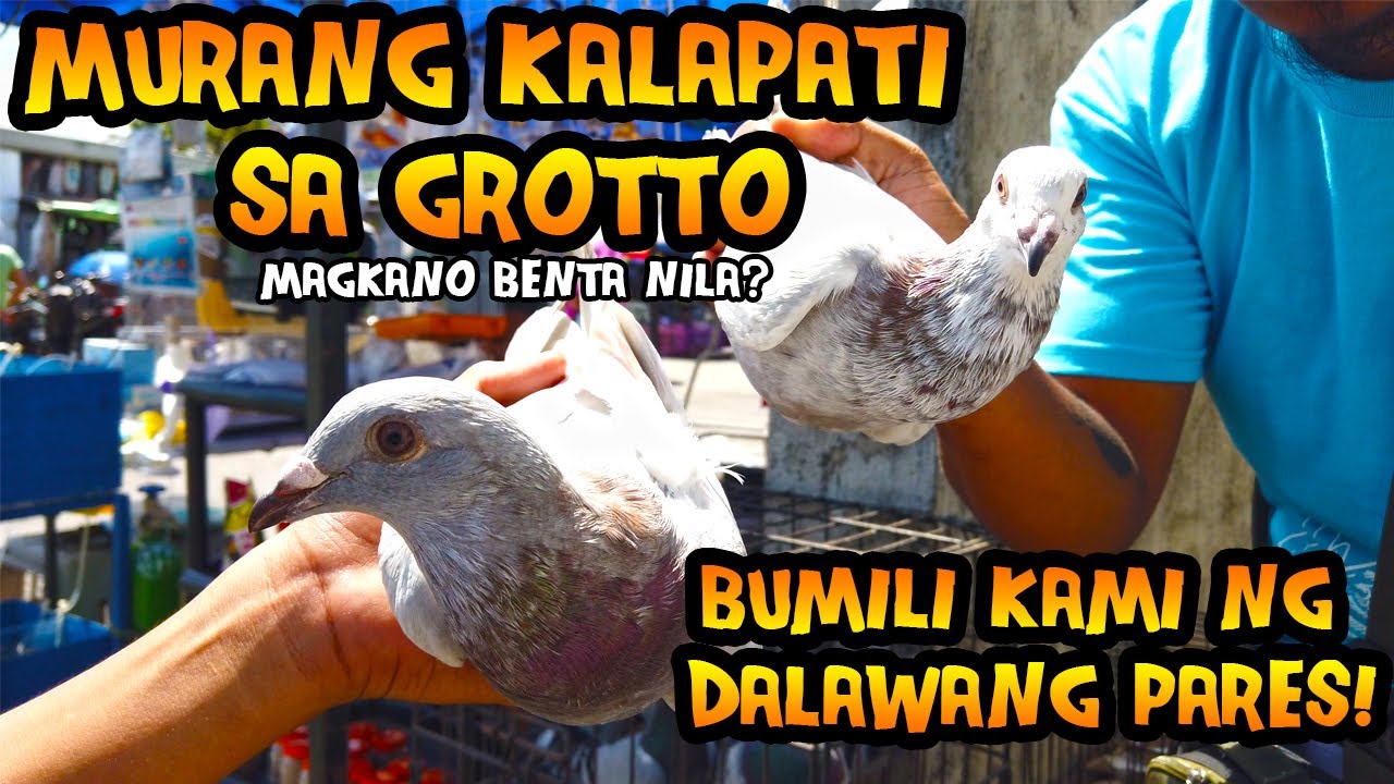 Bagsak Presyong Kalapati sa Grotto | Kain PEPEr Loft