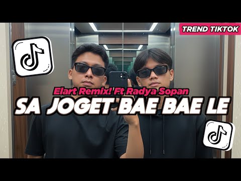 DJ SAH JOGET BAE BAE LEE PART 2 2019 !!!