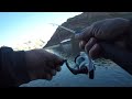 A little Saddlebag Lake Fishing at Sunrise (Off East Hwy120)