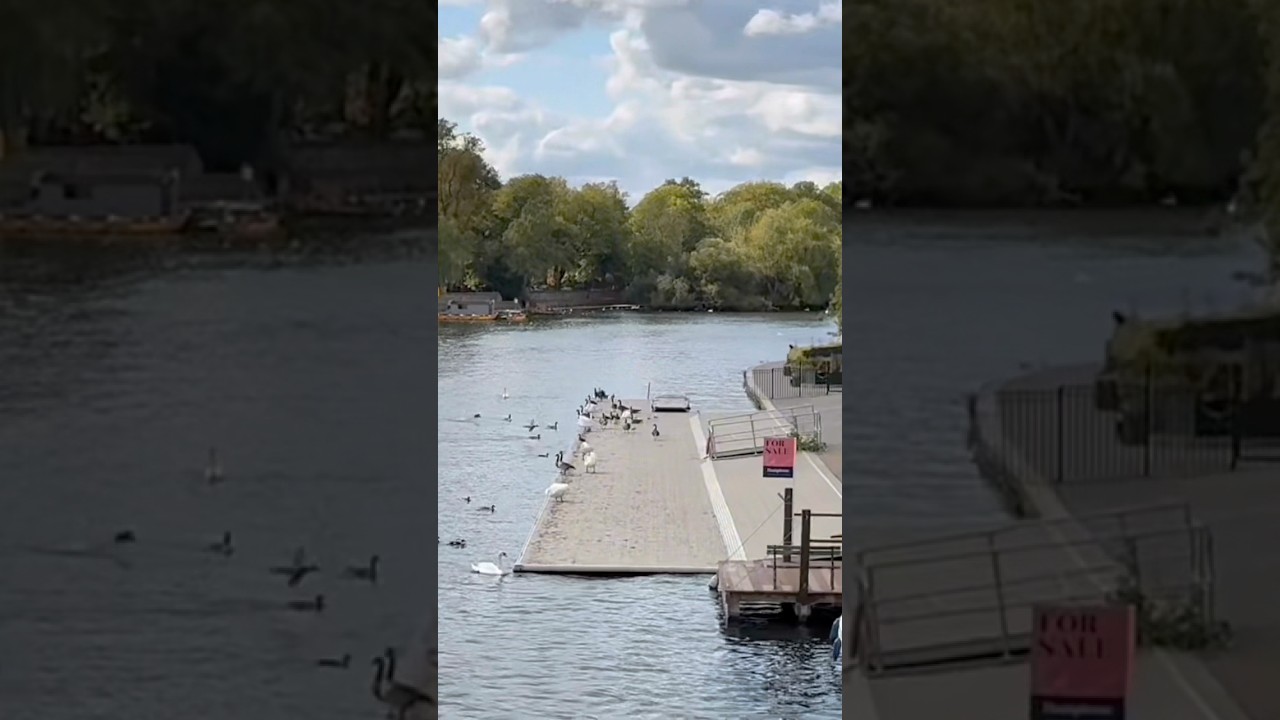 England:River Thames vibes 