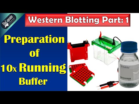 Western Blotting Part 1: 10 X running buffer preparation
