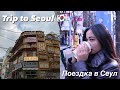 Корея: Сеул влог. Поездка в Мёнгдон 🚙🇰🇷☕️