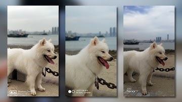 OnePlus 5 vs Xiaomi MI 6 vs Honor 9 Camera Test Comparison: A Tight Game![4K]
