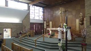 Third Sunday of Easter April  19, 2026