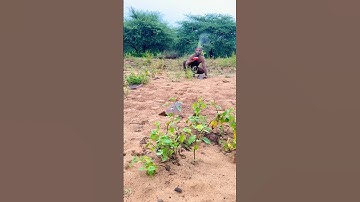 Hadzabe opening Fanta for new years. 😅Should@Coca-Cola add user manual in the bottle?😂 #fantasy