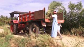 Goat Farming In Salem