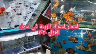 سوق الغزل أسعار اسماك الزينة والاحواض اليوم الاثنين 2020/7/13