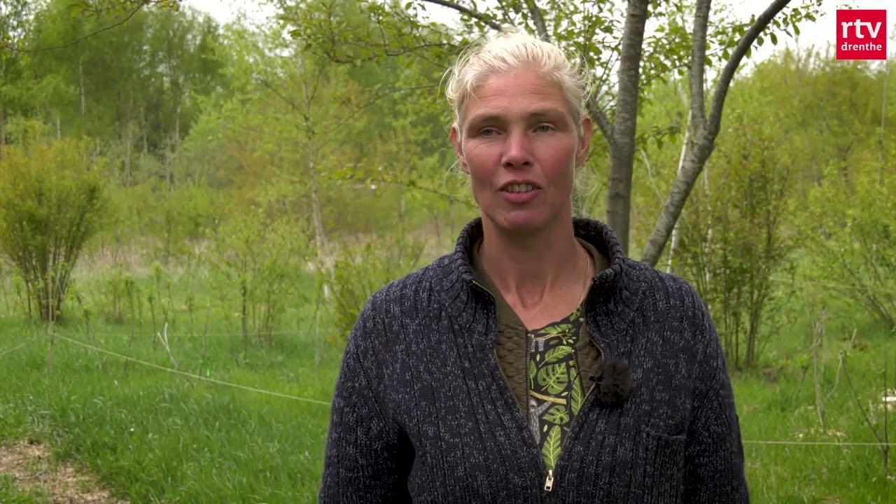 Nieuw voedselbos in Zeegse