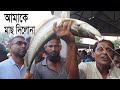 Buying Boal Fish From Wholesale Fish Market | নিলামে ডাক দিয়েও আমাকে মাছ দিলোনা