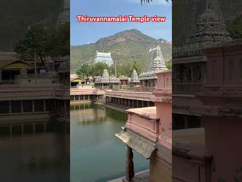 Thiruvannamalai Temple and water theppakulam and Temple kopuram beautiful view