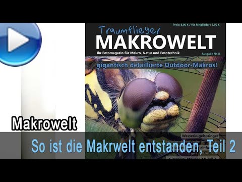 So ist die Traumflieger Makrowelt entstanden - 6 Jahre Fokus-Stacking, Teil 2