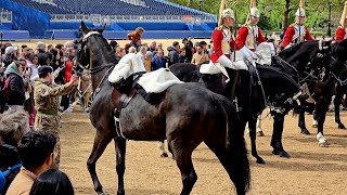 SHOCKING: Incident at Horse Guards Parade by Royal Rover Tales 22,800 views 1 month ago 25 minutes