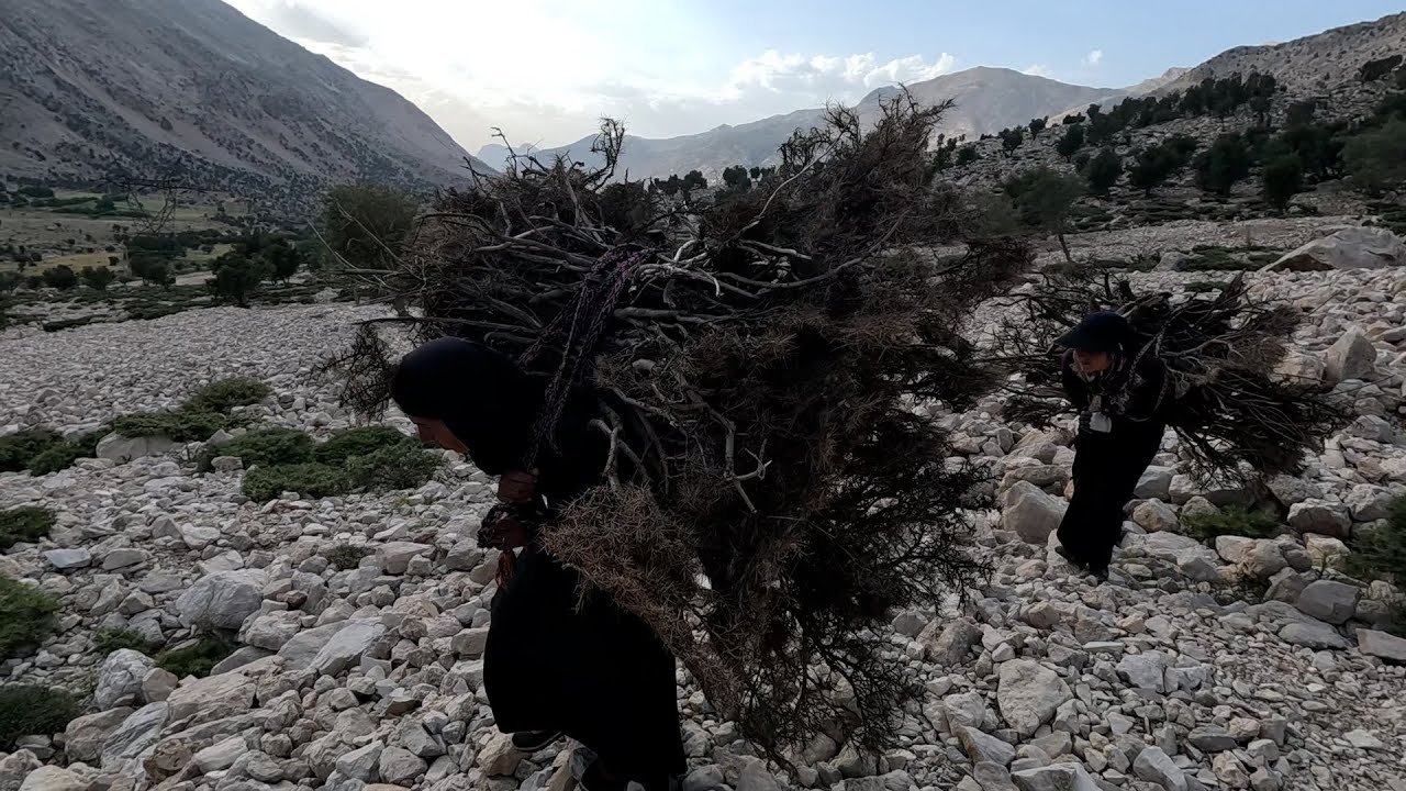 Gathering firewood by nomadic women: nomadic life - YouTube