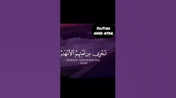 سورة يونس الاية رقم 9 ان الذين امنوا بصوت عبدالرحمن مسعد 💟🌸