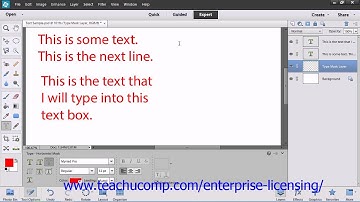 Adobe Photoshop Elements 12 Tutorial Text Employee Group Training 11.5