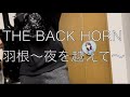 THE BACK HORN「羽根〜夜を越えて〜」