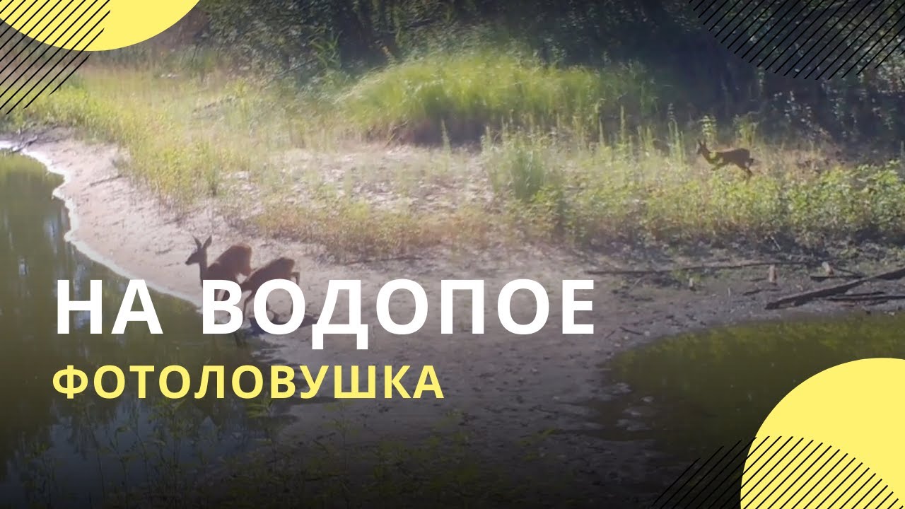 Хопер кий заповедник