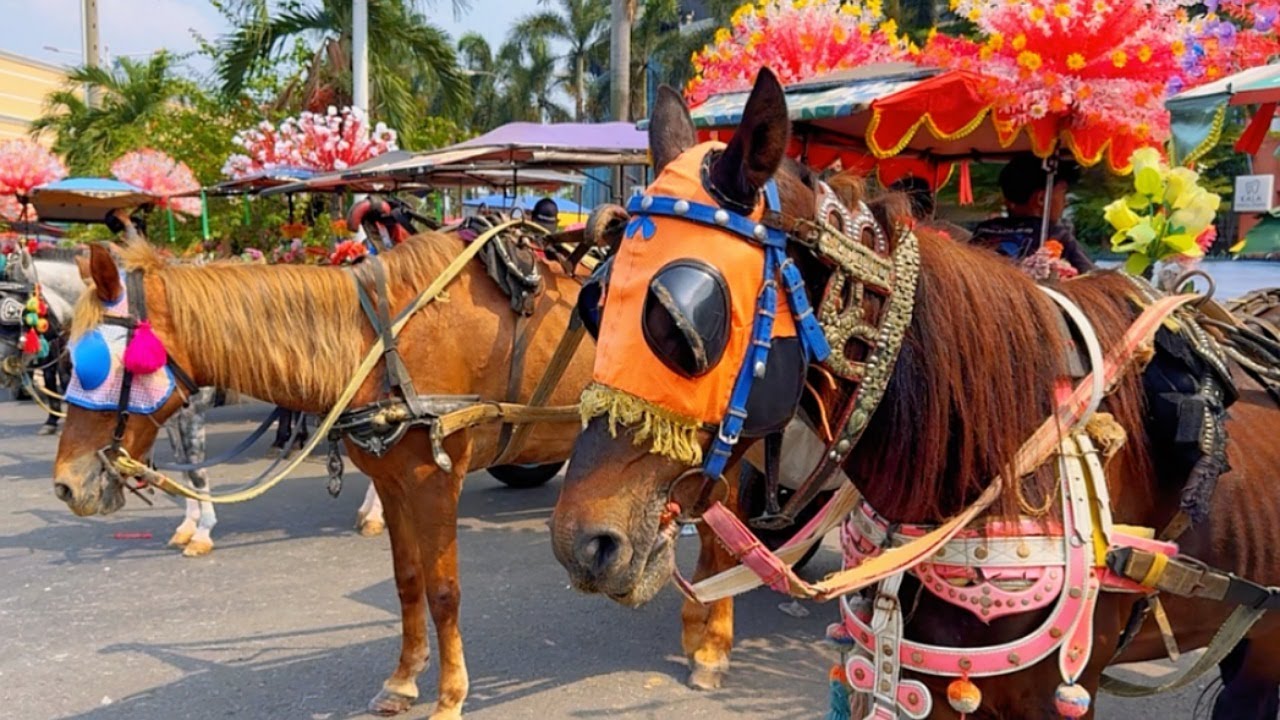 NAIK DELMAN ISTIMEWA | NAIK DELMAN LAGU ANAK VIRAL | LAGU ANAK INDONESIA