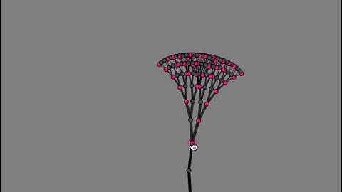 Fractals 3 (Growing Fractal Tree)