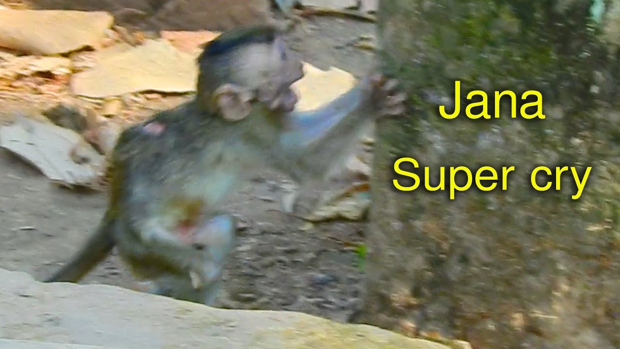 Pity😭😭 baby Janna cry loudly can't walk call mom help