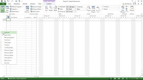 Kalenders overbrengen tussen projecten met de Organizer - MS Project