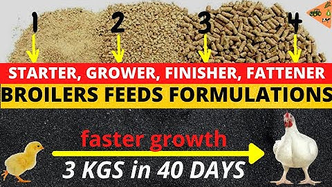 BROILER FEEDS FORMULATIONS (Starter, Grower, Finisher, Fattener) | Make Your Broilers Grow FASTER