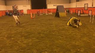 Obstacle Commitment - Online Agility Course starts 6/15/22