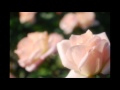 嵐「Lotus」耳コピ