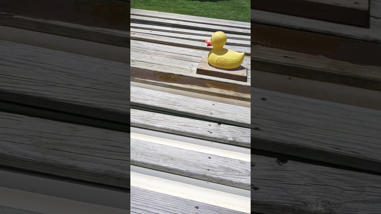 Harbes Farms Duck Water Racing! 