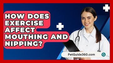 How Does Exercise Affect Mouthing And Nipping? - PetGuide360.com