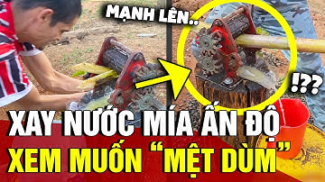 Độc lạ màn XAY NƯỚC MÍA của pháp sư ẤN ĐỘ khiến ai xem cũng thấy MỆT DÙM | Tin Nhanh 3 Phút