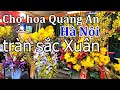 Chợ hoa Quảng An - Tây Hồ - Hà Nội ngập tràn sắc xuân I Dzung Viet vlog