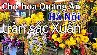 Chợ hoa Quảng An - Tây Hồ - Hà Nội ngập tràn sắc xuân I Dzung Viet vlog