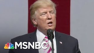 Donald Trump: GOP Doesn't Have The Guts To Repeal Obamacare | The Last Word | MSNBC