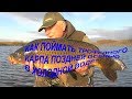 Как поймать трофейного карпа поздней осенью в холодной воде? Карпфишинг.