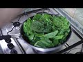 come cuocere gli spinaci freschi