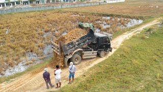 First Start new Project, Filling up huge land, Bulldozer KOMATSU D31PX Push Rock Soil Into Water