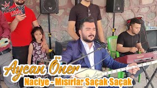 Aycan Öner Naciye - Mısırlar Saçak Saçak Resimi