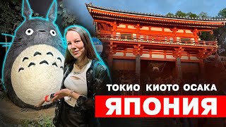 видео: ЯПОНИЯ! Disney land, Team Lab, Universal studios. Фудзикавагутико и гора Фудзи! картинка: ЯПОНИЯ! Disney land, Team Lab, Universal studios. Фудзикавагутико и гора Фудзи!