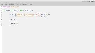 Printing Command Line Arguments in a basic C program.