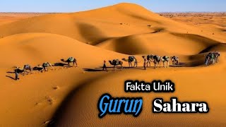 6 Fakta menarik Tentang Gurun SAHARA