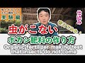 ぼかし肥料の作り方　虫が来ないボカシの作り方を考えてみた