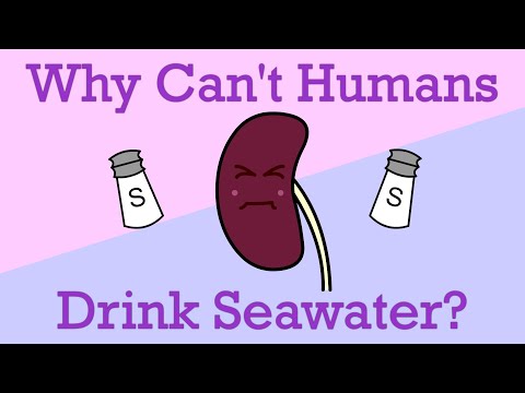 ვიდეო: ვის შეუძლია ზღვის წყლის დალევა?