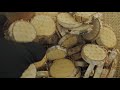 Wooden Wood Tree Chips Slice Tree Branch Pieces Blocks Vase Filler Garden Crafts - Circles Wooden Wood Tree Chips Slice Tree Branch Pieces Blocks Vase Filler Garden Crafts - Circles